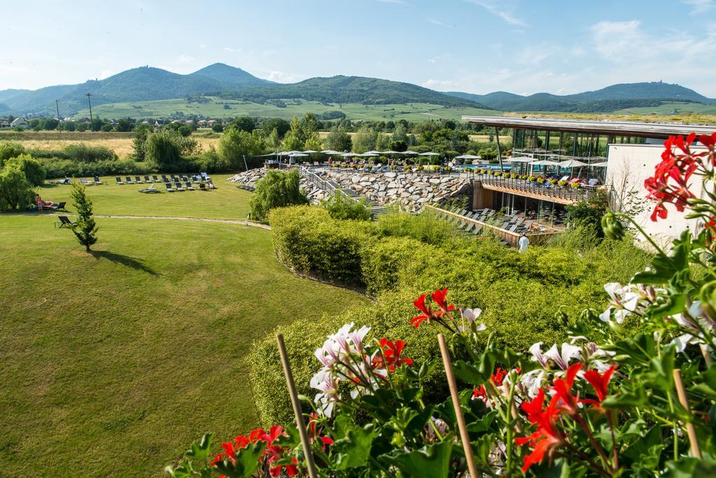 Hotel Barriere Ribeauville Bagian luar foto